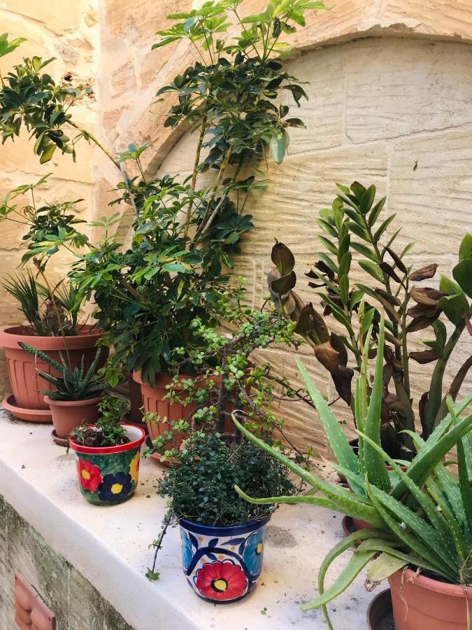 250 Yo Tal-Bambinu Boutique Farmhouse Xagħra Extérieur photo